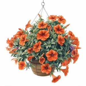 May include: A hanging basket overflowing with vibrant orange petunias. The flowers are in full bloom and create a lush, colorful display.