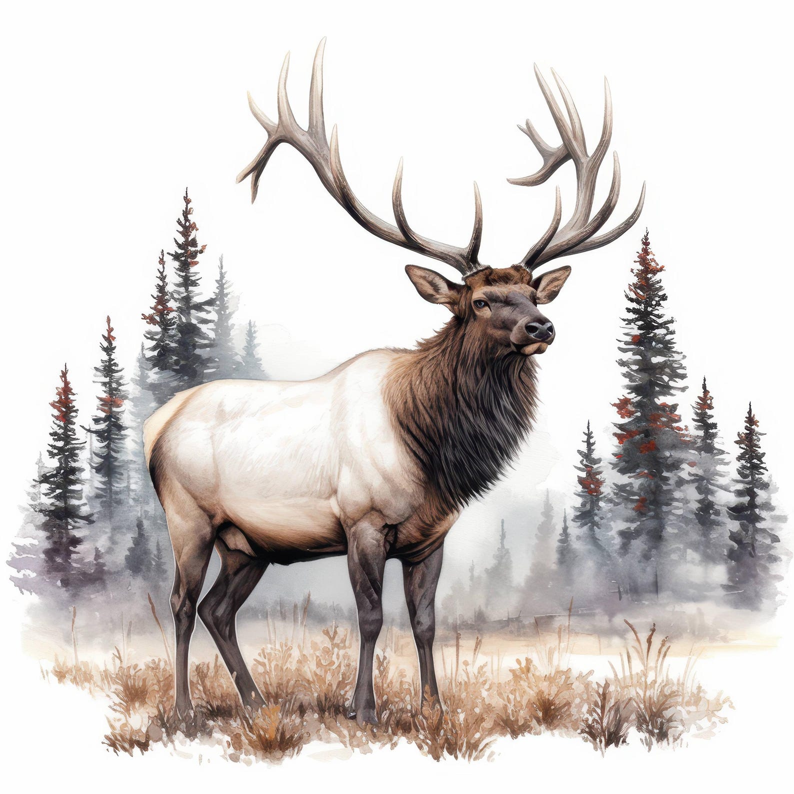 11 Bull Elk Clipart Bundle, Forest Stag Art Illustration, Printable ...