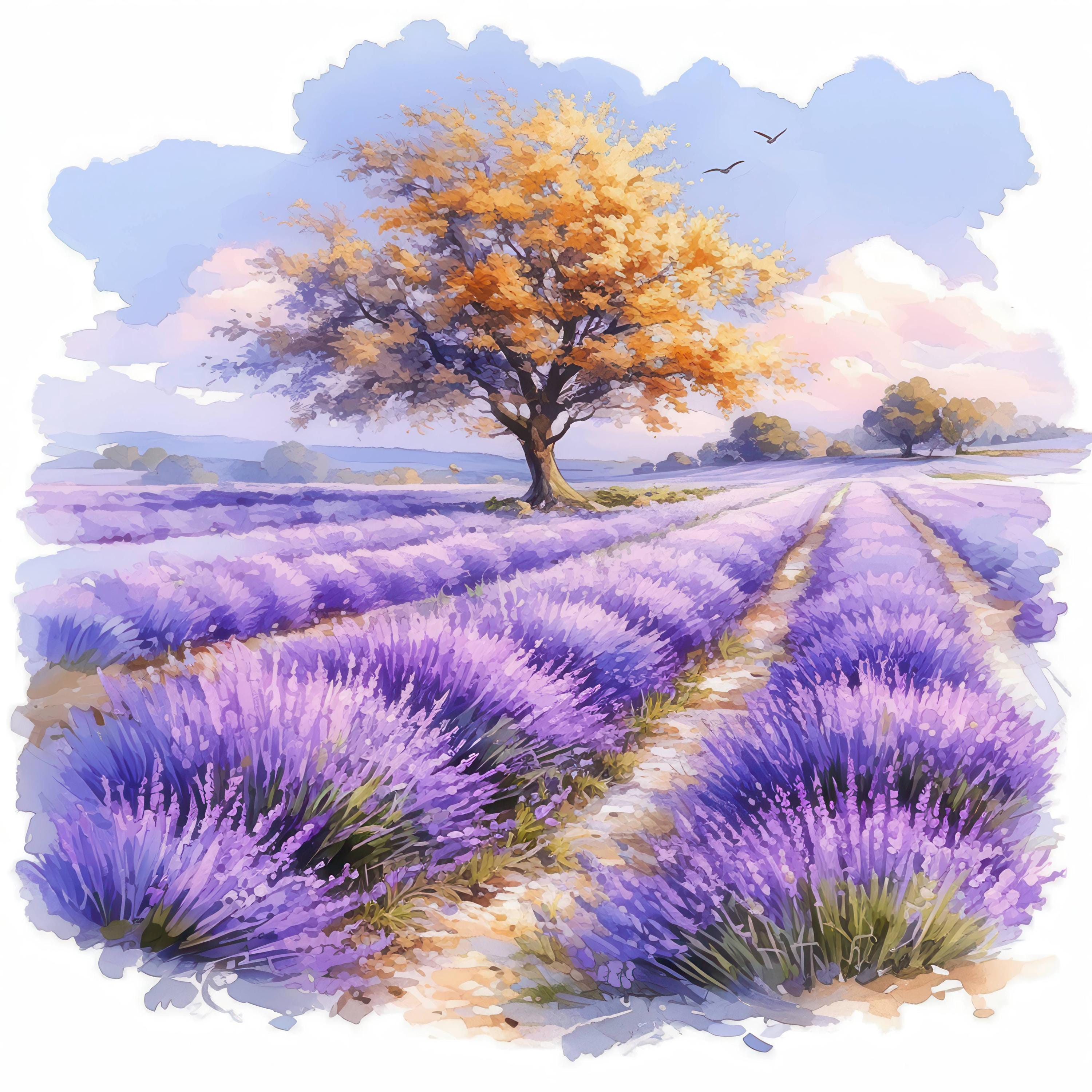 ラベンダー畑のクリップアート12点セット、紫色の花のイラスト、印刷