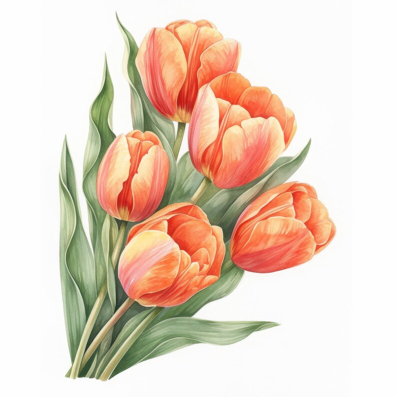 11 Tulips Clipart Bundle, Spring Flower Bouquet Illustration, Printable ...