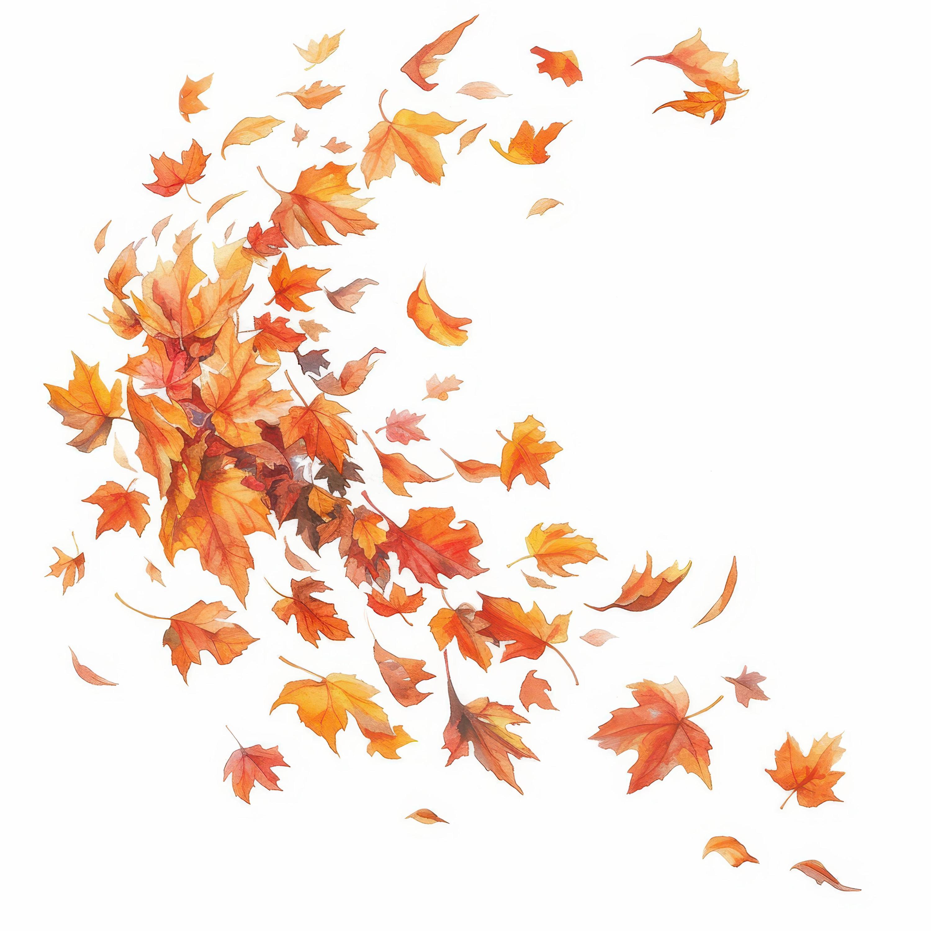 10 Falling Autumn Leaves Clipart Bundle, Fall Decor Illustration ...