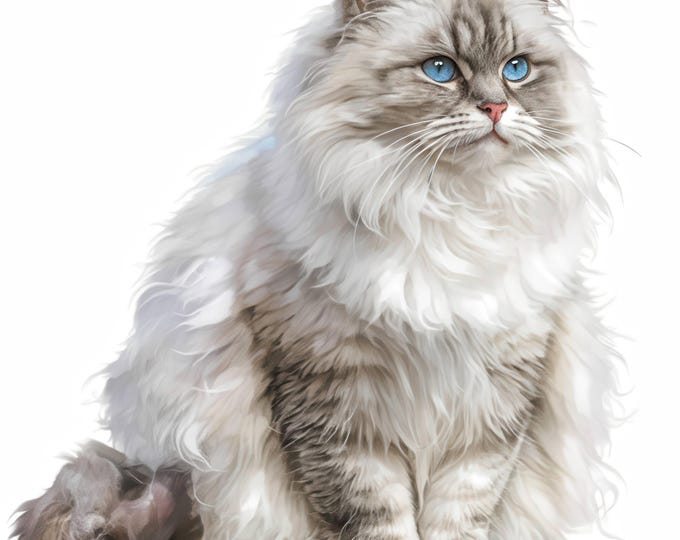 10 Watercolor Cat Clipart Clip Art Long Hair Cat Images Bundle Shabby ...