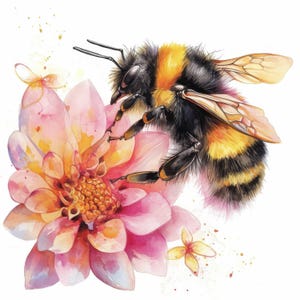 10 Honey Bee Clipart Bundle, Bees and Flowers Illustration, Printable Watercolor Clipart, High Quality JPG, Paper Craft, Junk Journals