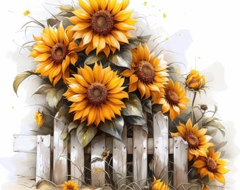 May include: A watercolor painting of sunflowers in full bloom. The bright yellow petals and brown centers of the sunflowers contrast with the white picket fence and green leaves. The image evokes a sense of warmth and summer.