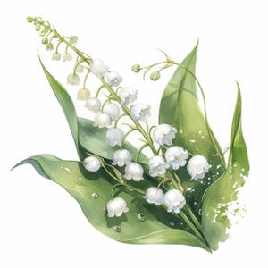 10 Lily of The Valley Clipart Bundle, White Flowers Illustration, Printable Watercolor Clipart, High Quality JPG, Paper Craft, Junk Journals