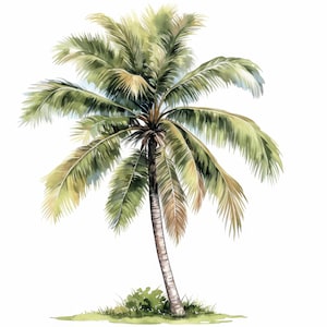11 Palm Tree Clipart Bundle, Tropical Tree Illustration, Printable Watercolor Scenery Clipart, High Quality JPG, Paper Craft, Junk Journals
