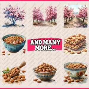 66 PNG Almond Clipart Bundle, Nuts Clip Art Set, Box, Sack, Bowl of ...