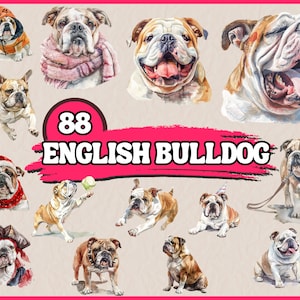 Aquarel Engelse Bulldog clipartbundel, hondenrassen clip art set, dier huisdier png-afbeeldingen, honden portret clipart, digitale illustraties