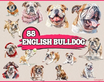Watercolor English Bulldog Clipart Bundle, Dog Breeds Clip Art Set, Animal Pet PNG Graphics, Canine Portrait Clipart, Digital Illustrations