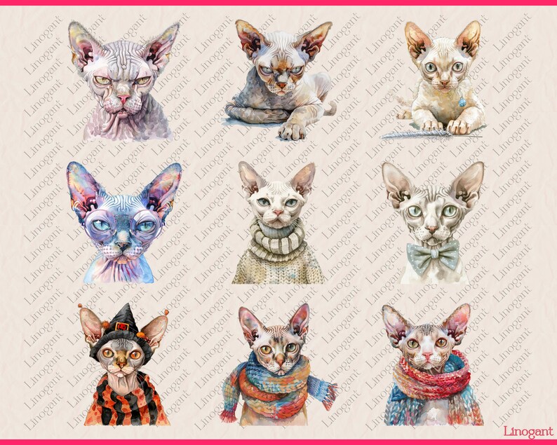 Devon Rex and Sphnyx Clipart Bundle, Cat Breed Clip Art Set, Watercolor ...