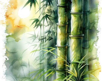 13種類の竹林の日光クリップアートセット、穏やかな自然のイラスト