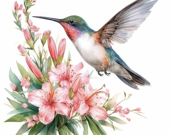 10 Hummingbird Clipart Bundle, Tropical Nectar Art Illustration, Printable Watercolor Clipart, High Quality JPG, Paper Craft, Junk Journals