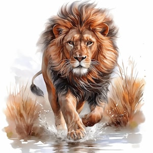 Puede incluir: Ilustración en acuarela de un león con una melena fluida, cargando hacia adelante a través del agua. El pelaje del león es una mezcla de naranja, marrón y negro, con agua salpicando alrededor de sus patas. Se ve hierba alta y seca en el fondo.