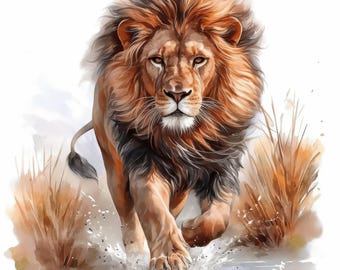 May include: A watercolor illustration of a lion with a flowing mane, charging forward through water. The lion's fur is a mix of orange, brown, and black, with water splashing around its paws. Tall, dry grass is visible in the background.