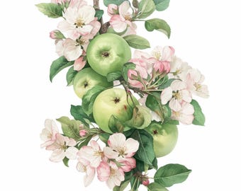 10 Apple Clipart Bundle, Fruit on Branch With Leaves and Flowers, Printable Watercolor Clipart, High Quality JPG, Paper Craft, Junk Journal