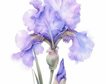 アイリスの花のクリップアート、日本のアイリスの花、紫色の花の