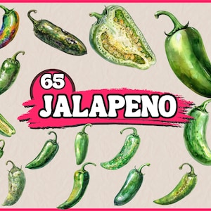 Watercolor Jalapeno Clipart Bundle, Mexican Pepper Clip Art Set, Hot Chili Food PNG Graphics, Illustration, Digital Download, Commercial Use