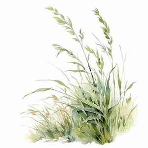 13 Sage Green Grass Clipart Bundle, Greenery Grass Illustration, Printable Watercolor Clipart, High Quality JPG, Paper Craft, Junk Journals