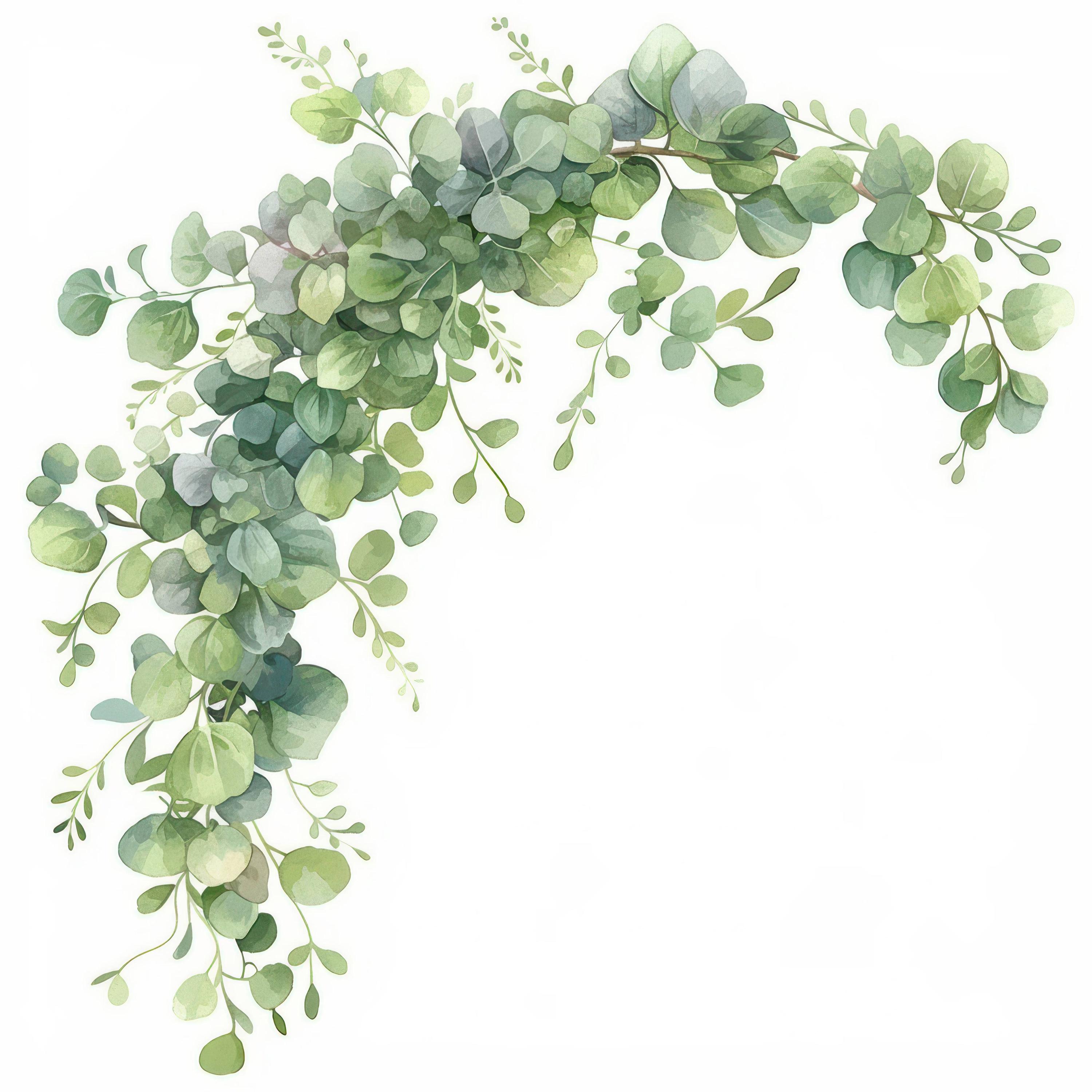 12 Greenery Leaves Arch Clipart Bundle, Invitation Decor Design ...