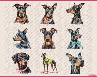 水彩ドーベルマン クリップアート バンドル、犬種のクリップアート