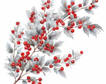 May include: Watercolor illustration of a holly branch with red berries and gray-green leaves. The berries are round and vibrant, contrasting with the muted tones of the foliage. The image is set against a white background.