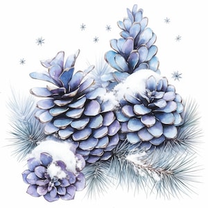 11 Winter Pinecone Clipart Bundle, Snowy Pinecone Illustration, Printable Watercolor Clipart, High Quality JPG, Paper Craft, Junk Journals