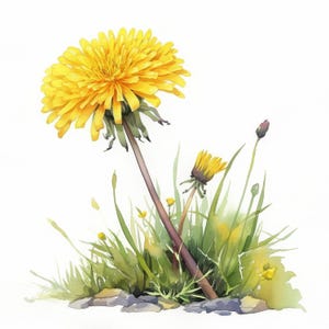 13 Dandelion Path Clipart Bundle, Whimsical Garden Trail Illustration, Printable Watercolor Clipart, High Quality JPG, Paper Craft, Journals