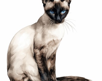 11 Cute Siamese Cat Clipart Bundle, Pointed Feline Illustration, Printable Watercolor Clipart, High Quality JPG, Paper Craft, Junk Journals