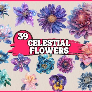 Aquarel hemelse bloemen clipartbundel, kosmische bloemen illustraties set, sterren, sterrenbeeld PNG-graphics, galactische beelden, commercieel gebruik