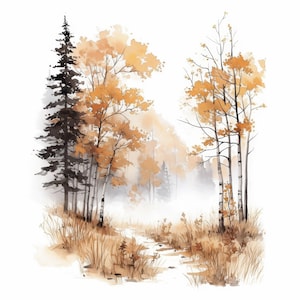 Peut inclure: Peinture à l'aquarelle d'une scène de forêt en automne. De grands conifères sombres se dressent à côté d'arbres aux feuilles orange et jaunes. Un sentier traverse de hautes herbes sèches. L'arrière-plan est un brouillard doux et vaporeux.