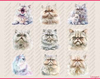 93 ペルシャ猫のクリップアート | 猫の昇華バンドル | 印刷可能な