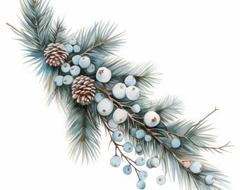 Può includere: Illustrazione ad acquerello di un rametto di vacanza invernale. Il rametto presenta aghi di pino blu-verdi, pigne marroni e bacche bianche e blu. L'opera d'arte è ambientata su uno sfondo bianco.