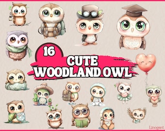 Lot de cliparts aquarelle hibou des bois mignon, ensemble de clipart animaux Kawaii, graphiques PNG fantastiques, adorable oiseau forestier, usage Commercial numérique