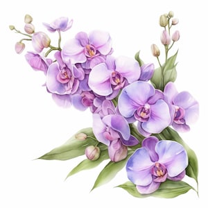 16 Orchid Clipart Bundle, Elegant Orchid Flower Illustration, Printable Watercolor Clipart, High Quality JPG, Paper Craft, Junk Journals