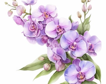 16 orkidéer clipart-paket, elegant orkidéblommaillustration, utskrivbar akvarell clipart, högkvalitativ JPG, papperspyssel, skräpjournaler