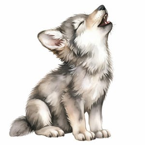 Puede incluir: Ilustración en acuarela de un lobezno gris y blanco sentado y aullando con la boca abierta. El cachorro tiene un pelaje esponjoso y está sobre un fondo blanco. La obra de arte tiene un estilo suave y artístico.