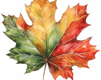 14 Fall Leaves Clipart Bundle, Autumn Maple Leaves Illustration, Printable Watercolor Clipart, High Quality JPG, Paper Craft, Junk Journals