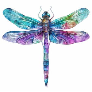14 Colorful Dragonfly Clip Art, Commercial Use, Whimsical Ephemera, Watercolor Art JPGs, Instant Download, Fantasy Junk Journal, Paper Craft