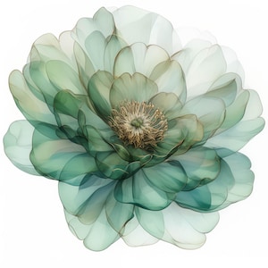 以下が含まれることがあります： 金色の中心を持つ、繊細で透き通った緑色の花。花びらは重なり合って重ねられており、柔らかく幻想的な効果を生み出しています。