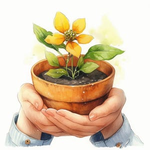 Può includere: Illustrazione ad acquerello di una pianta in vaso con un fiore giallo brillante e foglie verdi. Il vaso di terracotta è tenuto delicatamente in mani a coppa, suggerendo cura. L'immagine ha una qualità artistica morbida.