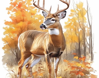 Pacchetto di 11 clipart di cervi dalla coda bianca, illustrazione di fauna selvatica maestosa, clipart acquerello stampabile, JPG di alta qualità, creazioni di carta, diari