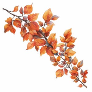 10 Falling Autumn Leaves Clipart Bundle, Oak Tree Illustration ...