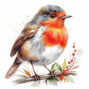 14 Weihnachten Rotkehlchen Clipart Bundle, festliche Vogel Nahaufnahme Illustration, druckbare Aquarell Clipart, hochwertige JPG Papier, Papiermodelle
