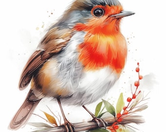 14 Christmas Robin Clipart Bundle, Festive Bird Close-Up Illustration, Printable Watercolor Clipart, High Quality JPG, Paper Craft, Journals