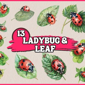 Pacchetto di clipart di coccinelle e foglie ad acquerello, set di clipart di coccinelle rosse su foglie di albero, grafica PNG, illustrazione commerciale di insetti realistici