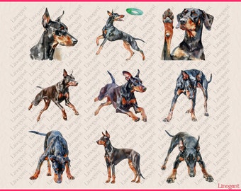 犬 ドーベルマン 大型犬 水彩画 原画 水彩ドーベルマン クリップアート バンドル、犬種のクリップアート