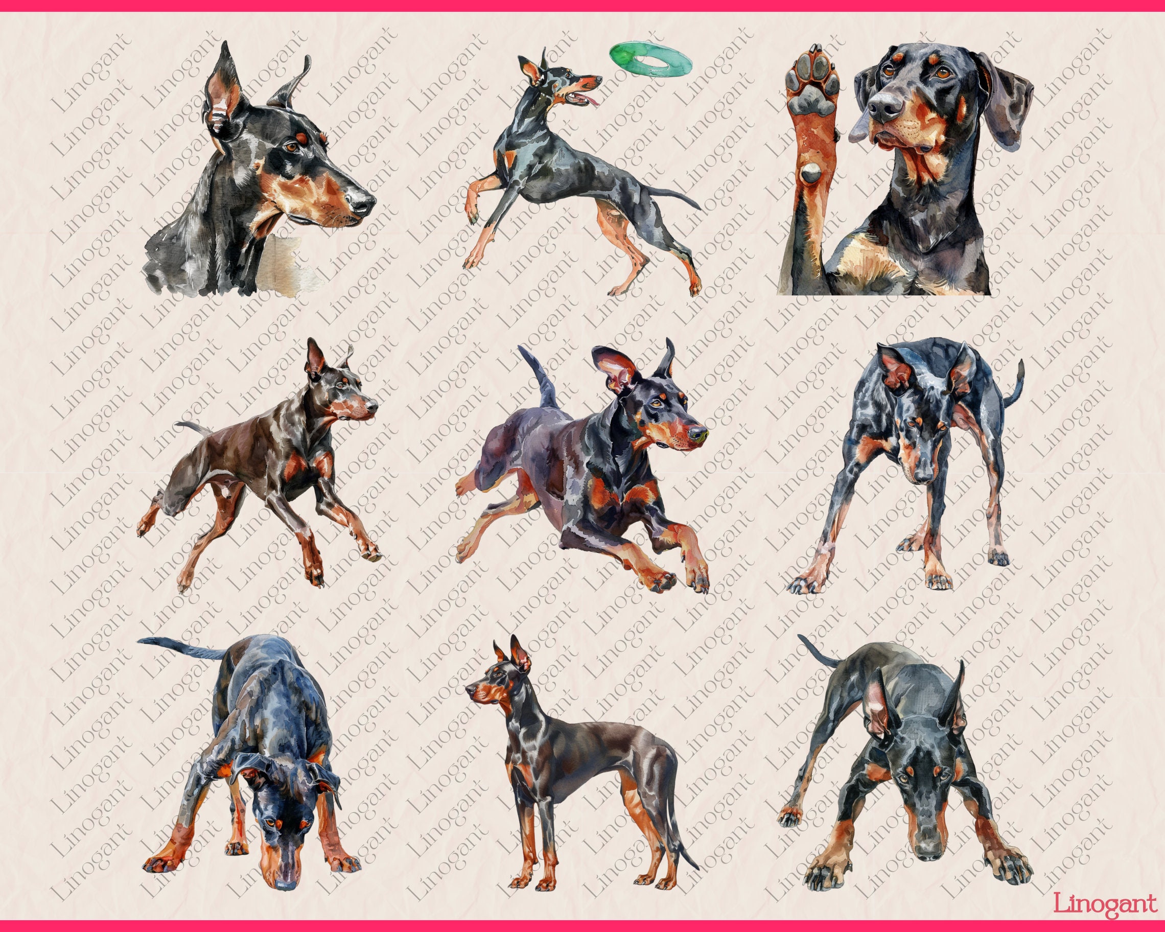 水彩ドーベルマン クリップアート バンドル、犬種のクリップアート