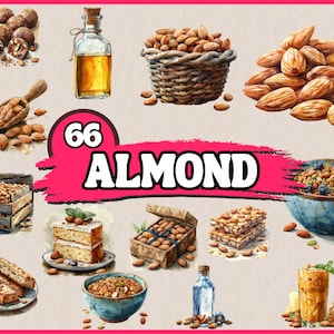 66 PNG Mandel Clipart Bundle, Nötter Clip Art Set, Ask, Säck, Skål med Mandlar, Digital Nedladdning, PNG Grafik, Utskrivbara Akvarell Klistermärken