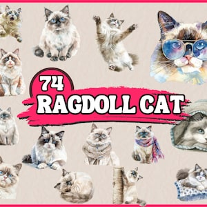74 Ragdoll Cat Clipart | Cat Sublimation Bundle | Printable Watercolor | High Quality PNG | Digital Download | Paper Craft | Junk Journals