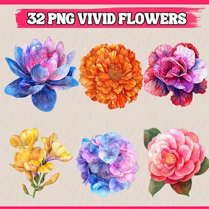 32 png levendige bloemblaadjes clipart, fantastische bloemen cliparts, levendige bloemenbundel, illustratie | Directe download voor commercieel gebruik
